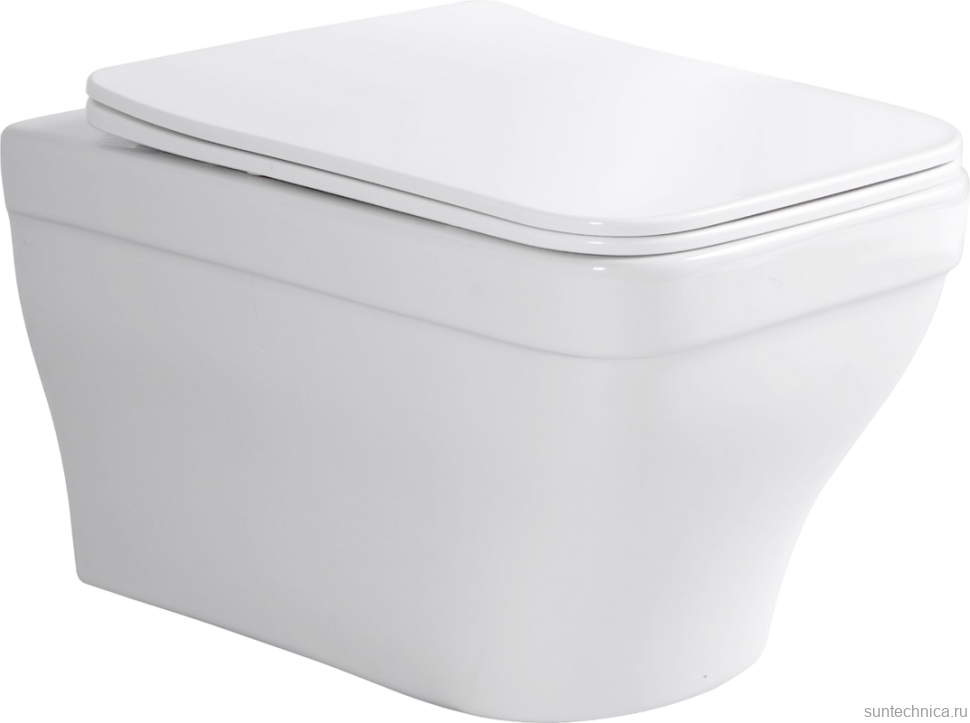 Унитаз подвесной Aquanet Elegant 280960 безободковый, с микролифтом, белый