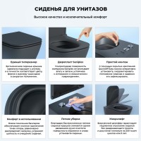 Унитаз подвесной Wellsee Pure BY Wellsee 182604001 безободковый, с микролифтом, матовый черный