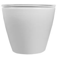 Унитаз подвесной Azario Grado 490х370х360 безободковый с быстросъемным сиденьем микролифт (AZ-0046 -N)