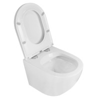 Унитаз подвесной Azario Grado 490х370х360 безободковый с быстросъемным сиденьем микролифт (AZ-0046 -N)