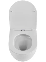Унитаз подвесной BelBagno Libero BB11051CH-TOR/SC безободковый Унитаз подвесной BelBagno Libero BB11051CH-TOR/SC безободковый