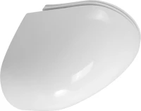 Унитаз подвесной BelBagno Libero BB11051CH-TOR/SC безободковый Унитаз подвесной BelBagno Libero BB11051CH-TOR/SC безободковый