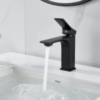 Смеситель для раковины Shevanik S6101H черный