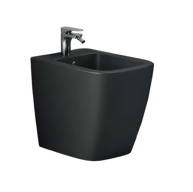 Биде напольное ArtCeram A16 ASB005 17 00 матовое черное