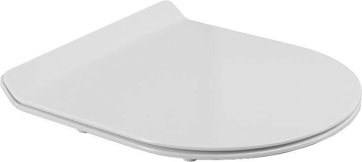 Унитаз подвесной BelBagno Soft BB084CH-TOR безободковый, крышка BB2011SC с микролифтом