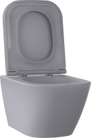 Унитаз подвесной Wellsee Pure BY Wellsee 182605001 безободковый, с микролифтом, матовый серый