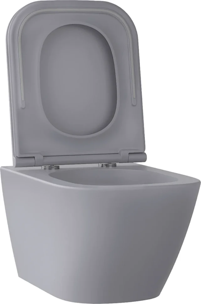 Унитаз подвесной Wellsee Pure BY Wellsee 182605001 безободковый, с микролифтом, матовый серый