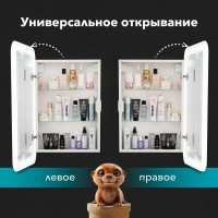 Зеркало-шкаф Alavann Cosmetic Light 50x75 с приближением, с подсветкой, глянцевый белый