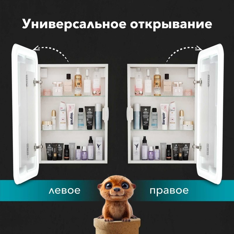 Зеркало-шкаф Alavann Cosmetic Light 50x75 с приближением, с подсветкой, глянцевый белый