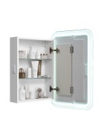 Зеркало-шкаф Alavann Cosmetic Light 50x75 с приближением, с подсветкой, глянцевый белый