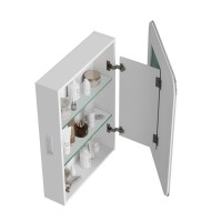 Зеркало-шкаф Alavann Cosmetic Light 50x75 с приближением, с подсветкой, глянцевый белый