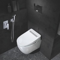 Гигиенический душ Rose R1605F со смесителем, С ВНУТРЕННЕЙ ЧАСТЬЮ, белый,хром