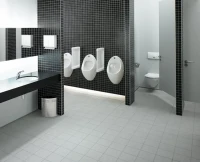 Писсуар подвесной VitrA Arkitekt 4106B003-5597 сенсорный, белый, с сифоном, со смывным механизмом Писсуар подвесной VitrA Arkitekt 4106B003-5597 сенсорный, белый, с сифоном, со смывным механизмом