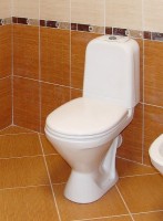 Унитаз-компакт напольный Sanita Самарская стандарт глянцевый белый