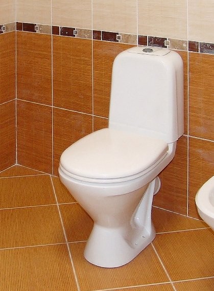 Унитаз-компакт напольный Sanita Самарская стандарт глянцевый белый