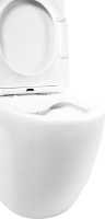 Унитаз-компакт напольный BelBagno Amanda BB051CPR безободковый, крышка BB051SC с микролифтом, бачок BB051T