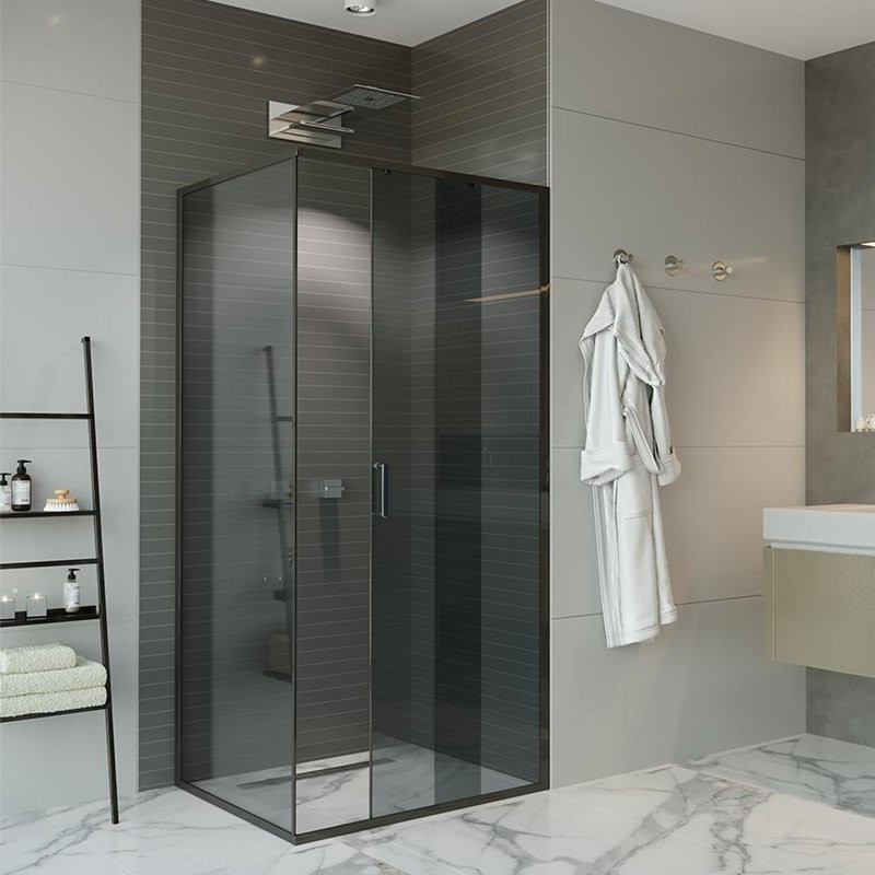 Душевая дверь в нишу Alex Baitler AB64B120 120 см, профиль черный, стекло тонированное