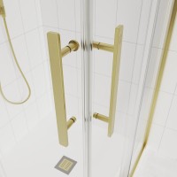 Душевой уголок Veconi Evo 300 G 110х90 см, профиль брашированное золото, стекло прозрачное