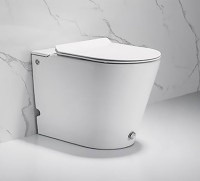 Умный унитаз напольный Ceruttispa Argentera Pulse 7267 безободковый, с микролифтом, импульсный смыв