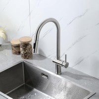 Смеситель для кухни Frap H807 F60807 сатин