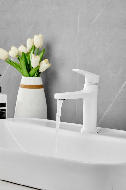 Смеситель для раковины BELZ B713 B10713-8 белый