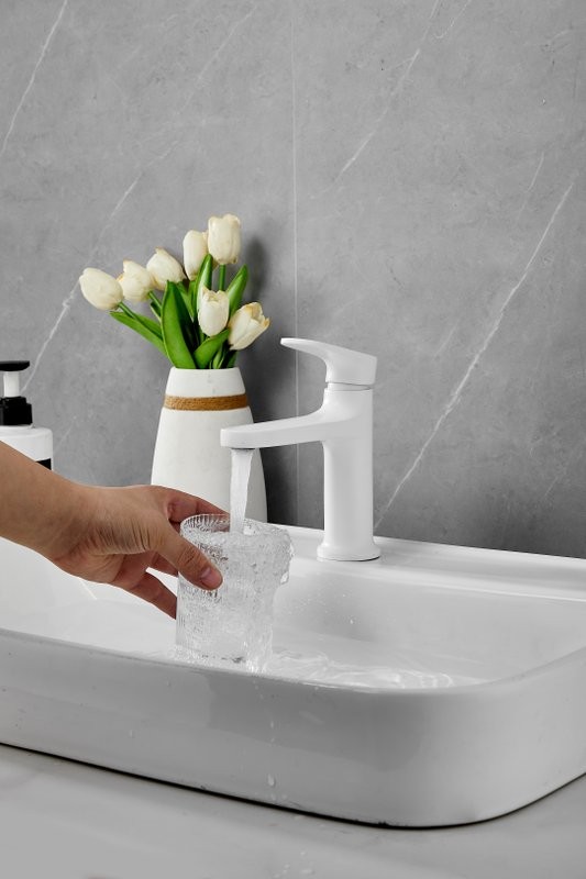 Смеситель для раковины BELZ B713 B10713-8 белый