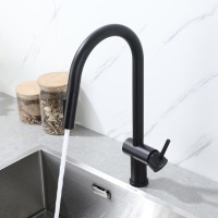 Смеситель для кухни Frap H807 F60807-6 черный