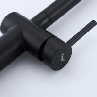 Смеситель для кухни Frap H807 F60807-6 черный