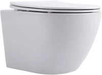Унитаз подвесной Aquanet Cetus 249710 безободковый, с микролифтом, белый