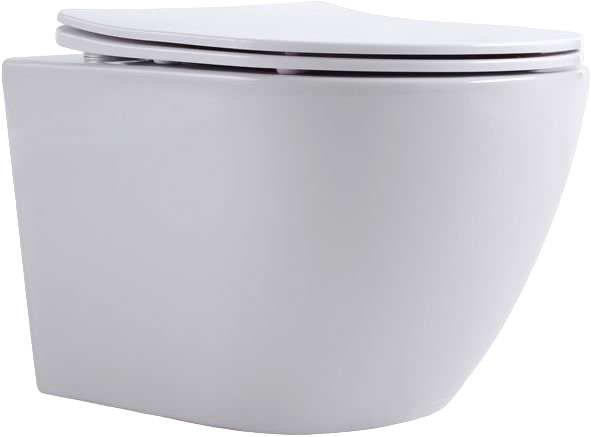 Унитаз подвесной Aquanet Cetus 249710 безободковый, с микролифтом, белый