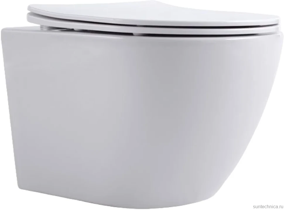 Унитаз подвесной Aquanet Cetus 249710 безободковый, с микролифтом, белый