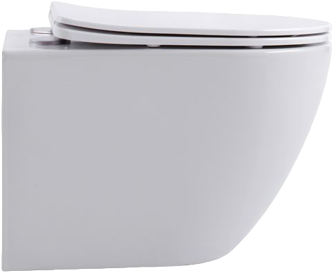 Унитаз подвесной Aquanet Cetus 249710 безободковый, с микролифтом, белый