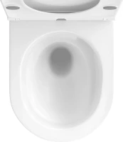 Унитаз подвесной Wellsee Chalice Perfection 182607001 безободковый, с микролифтом, глянцевый белый