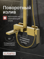 Душевая стойка Esbano ESDSBASC-DSSG золото