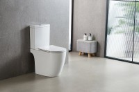 Унитаз-компакт напольный AZARIO Leo AZ-1253CT с микролифтом, безободковый