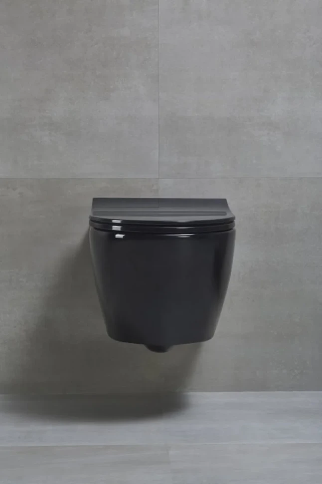 Унитаз подвесной beWash Bogen 88303606 с сиденьем микролифт, с функцией биде, черный