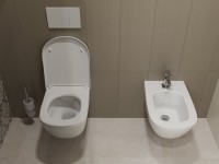 Биде подвесное Laufen Palomba 8.3080.1.000.304.1