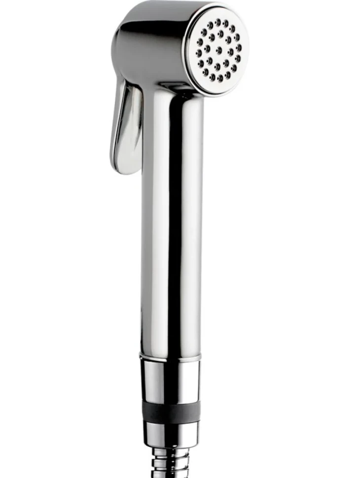 Гигиенический душ Bossini Paloma Brass B00470.030 хром