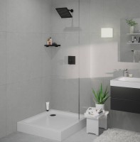Верхний душ Hansgrohe Crometta E 240 1jet 26726670 черный матовый