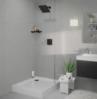 Верхний душ Hansgrohe Crometta E 240 1jet 26726670 черный матовый