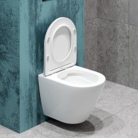 Комплект Унитаз подвесной EvaGold K505 безободковый, с микролифтом + Инсталляция AlcaPlast AM101/1120-4:1 RU M571-0001 кнопка смыва хром