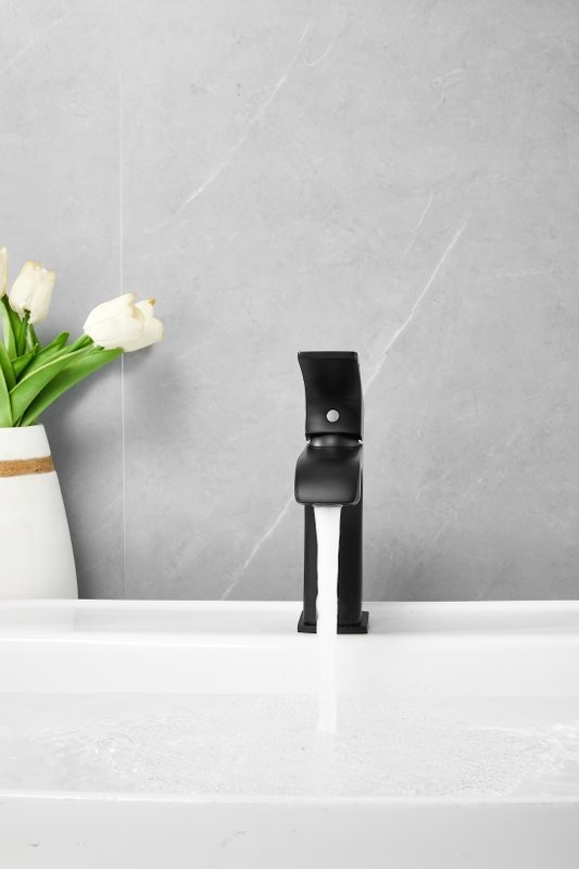 Смеситель для раковины BELZ B507 B10507-7 черный