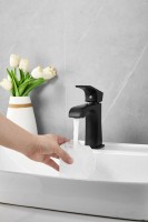 Смеситель для раковины BELZ B507 B10507-7 черный Смеситель для раковины BELZ B507 B10507-7 черный