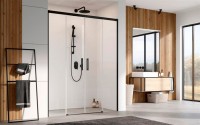 Душевая дверь в нишу Radaway Idea Black DWD 170