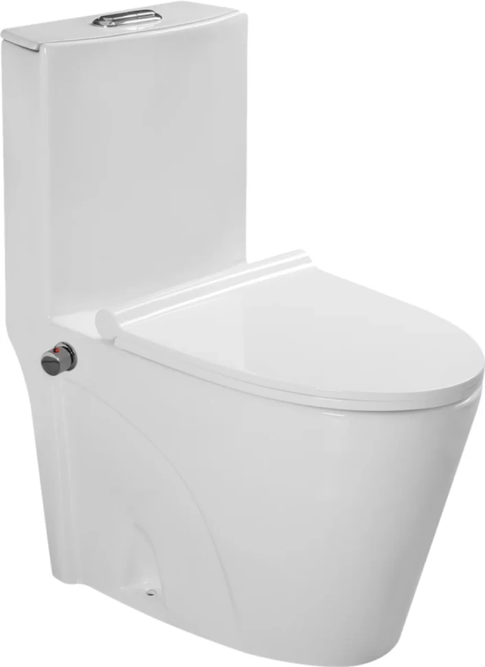 Унитаз-моноблок напольный SantiLine SL-5012SM-BD