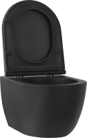 Унитаз подвесной Wellsee Chalice Perfection 182609001 безободковый, с микролифтом, матовый черный