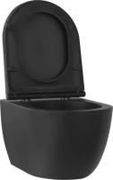 Унитаз подвесной Wellsee Chalice Perfection 182609001 безободковый, с микролифтом, матовый черный