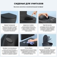 Унитаз подвесной Wellsee Chalice Perfection 182609001 безободковый, с микролифтом, матовый черный