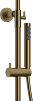 Душевая стойка Raiber Graceful RPG-007 с термостатом, матовое золото