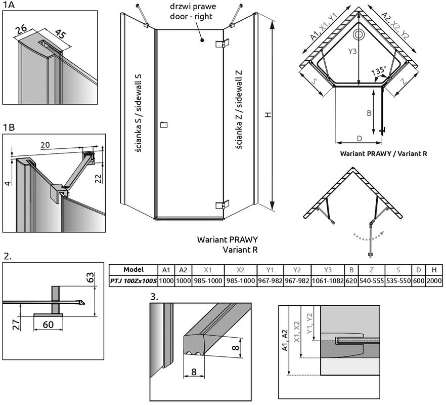Душевой уголок Radaway Essenza New Black PTJ 100х100 R